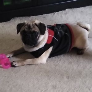 Meet your Posher, Kristy